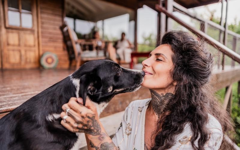 a person kissing a dog